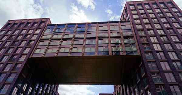 外国语单招大数据的行业文章