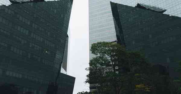 大数据专用软件