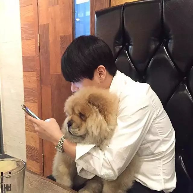 薛善致宝