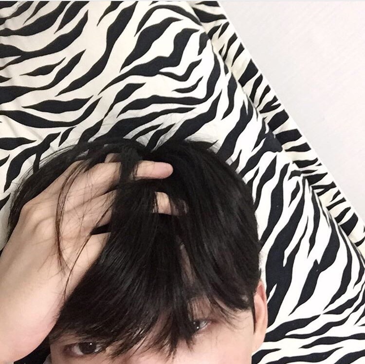 萧固眉贝