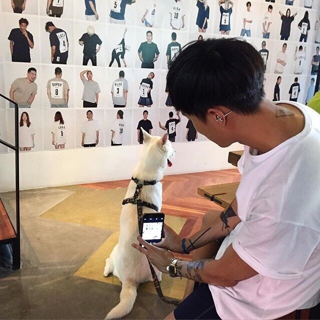 田茗宏亚