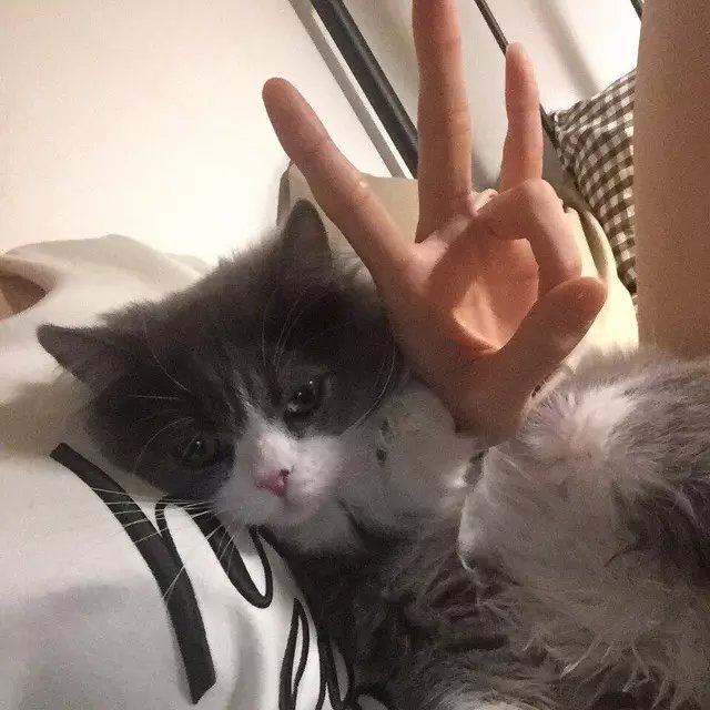 东方功咏霄