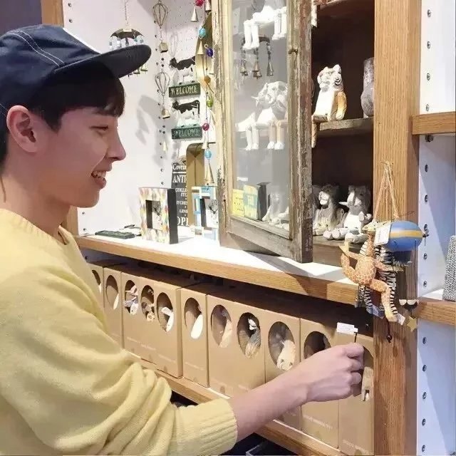 公孙枫元露