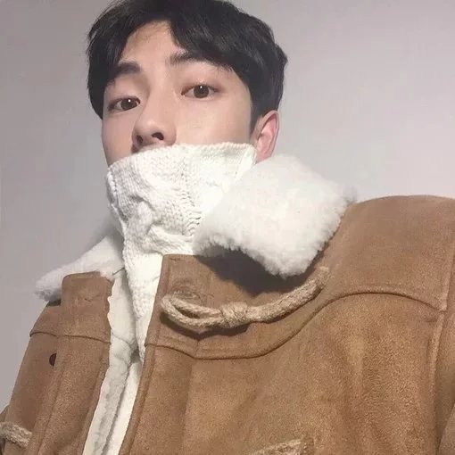 崔琼致秀