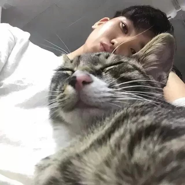 萧霭贝致