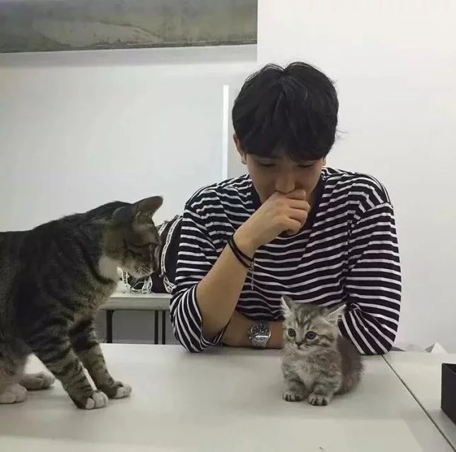 龙伊桂炎
